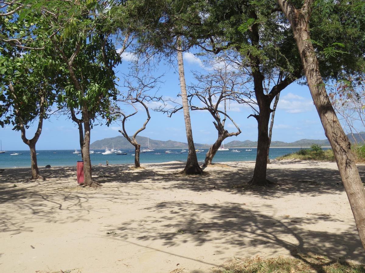 El Mono Loco Hotel Tamarindo Luaran gambar